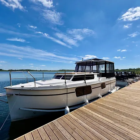 Forest Marina Weltyn