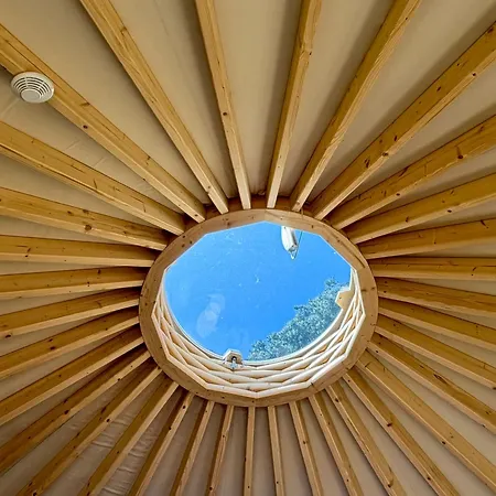 Θέρετρο Forest Marina